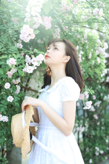 又见白娘子剧情